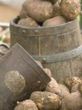 Potatoes at Vegetable Market  Stavanger Harbour  Norway