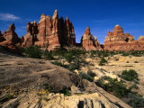 Chesler Park Trail in Needles Region  Canyonlands National Park  USA