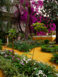 Garden Courtyard  Marrakech  Morocco