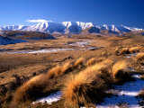 Tussocks and Hawkdun Range  Central Otago  New Zealand