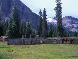 Log Cabin  Horse and Corral  Banff National Park  Alberta  Canada