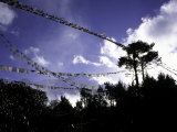 Player Flags  Nepal