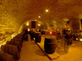Wine Cellar of Chateau de Pierreclos  Burgundy  France
