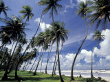 View of Manzanilla Bay  Port of Spain  Trinidad  Caribbean