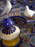 White Doves in Plaza Tiled Fountain  Sevilla  Spain
