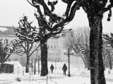 Winter  Mirabellgarten  Salzburg  Austria
