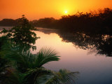 Sun Rising Over the Still New River  Belize