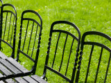 Park Benches in Palace Gardens  Vienna  Austria