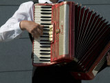 Street Accordionist  Prague  Czech Republic