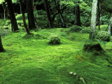 Moss Temple (Kokedera  Saihoji)  Kyoto  Japan