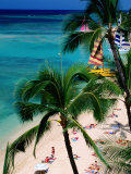 Palm Trees Over Waikiki Beach  Waikiki  USA