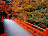 Bridge Leading to Saimyo-Ji  Kyoto  Japan
