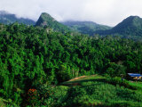 Overhead of Forested Mountains and Cane Field  Nadi  Fiji