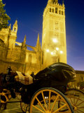 Carriage Outside Cathedral at Night  Sevilla  Spain