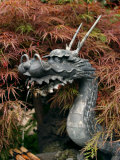 Dragon Head  Chingo-Do-Ji Temple  Asakusa  Tokyo  Japan