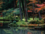 Saiho-Ji Garden in Autumn  Kyoto  Japan