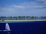 Windsurfer  Plantation Island  Fiji