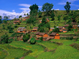 Himalayan Settlement  Annapurnas  Nepal
