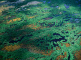 Aerial View of Wetlands  Everglades National Park  USA