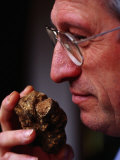 Man Holding Large White Truffle  Alba  Italy