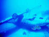 Catalina Flying Boat Wreck Underwater  French Polynesia