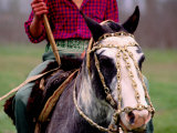 Gaucho on Horse  Buenos Aires  Argentina