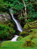 Waterfall and Stream  Kylemore Lake  Connemara  Ireland