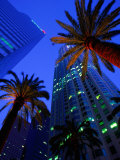 Citibank Center and Palm Trees from Below  Los Angeles  United States of America