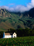 Cape Dutch Colonial Manor House and Vineyard with Mountain Backdrop  Dornier  South Africa