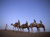 Sunset Camel Ride  Al Maha Desert Resort  Dubai  United Arab Emirates
