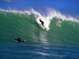 Surfer at Waikanae Beach  Poverty Bay  Gisborne  New Zealand