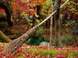 Broom and Gardens at Eikando Temple  Kyoto  Japan