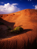 Entrada Sandstone Near Dance Hall Rock in Grand Staircase - Escalante National Monument  Utah