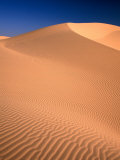 Algodones Dunes in Imperial Sand Dunes Recreation Area  California  USA