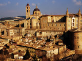 Basilica Metropolitano and Old Stone Houses from Public Gardens  Urbino  Italy