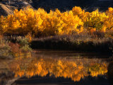 Autumn Colours of Drumheller Valley in Alberta  Drumheller Valley  Canada