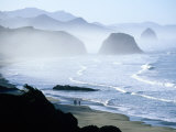 Overhead of Walkers  Cannon Beach  Ecola State Park  USA