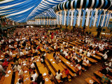 Overhead of Oktoberfest Drinking Session in Theresienwiede Fairgrounds Beer Tent  Munich  Germany