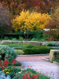Flowerbeds and Trees  Botanic Gardens  Cleveland  United States of America