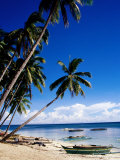 Palm Trees and Outrigger on Paliton Beach  Siquijore  Philippines