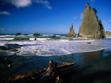 Rialto Beach  Rock Formations and Driftwood in the Wet Sand in Olympic National Park  Washington