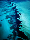 Aerial of Coral Formations  Shark Bay  Australia