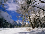 Trees and Mountains  Winter  Yosemite Valley  USA