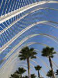 El Ombracle (Walkway / Garden )  City of Arts and Sciences  Valencia  Spain