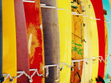 Surfboards for Hire  Waikiki Beach  Waikiki  United States of America