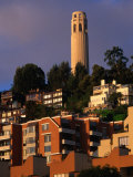 Apartment Buildings with Coit Tower Behind  San Francisco  USA
