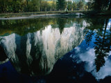 El Capitan Reflected in the Merced River  Yosemite National Park  USA