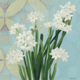 Paperwhites on Blue II