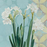 Paperwhites on Blue I