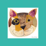 Calico Cat
